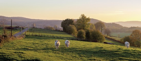 Agriculture : associations foncières pastorales