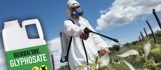 Toutes cultures : sortie du glyphosate