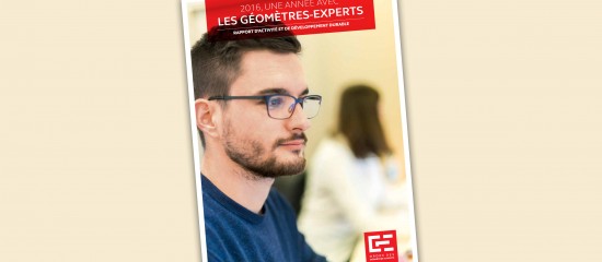 Géomètres-experts