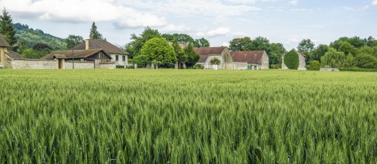 Exonération des biens ruraux loués par bail à long terme : du nouveau ?