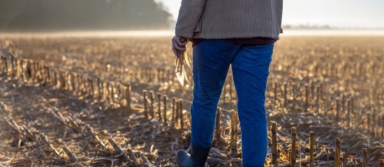 Fermages impayés par un enfant à un parent : à rapporter à la succession ?