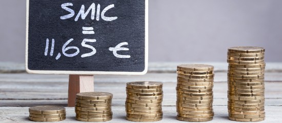 Le Smic fixé à 11,65 € en 2024