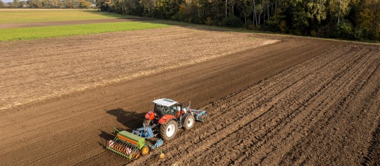 Les prix des terres agricoles ont légèrement augmenté en 2023