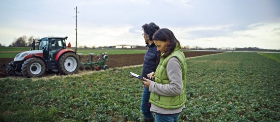 Acquisition de parcelles agricoles par substitution aux droits d’une Safer : du nouveau !