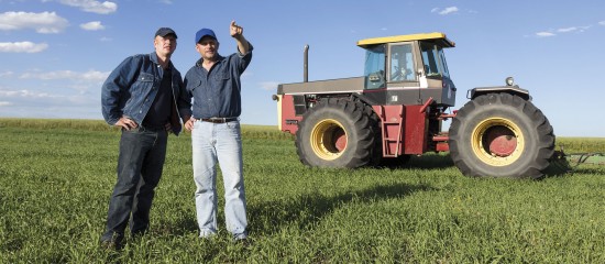 Un train de mesures destinées à soutenir le secteur agricole